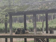 -碧峰峡风景区