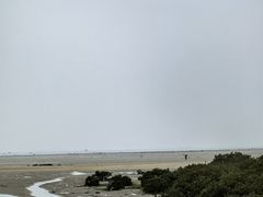 -北海金海湾红树林生态旅游区