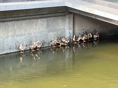 -浙江省博物馆(孤山馆区)