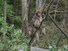 -广元唐家河嘉怡客栈