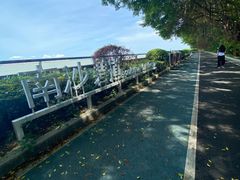 -大湾区中央湿地公园