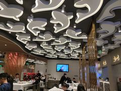 -阿五黄河大鲤鱼(海尚店)