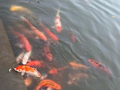 -珠海圆明新园