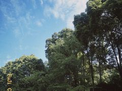 -青城山