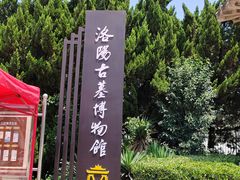 -洛阳古墓博物馆