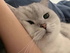 -小海豚国际游泳培训中心(浦东塘桥店)