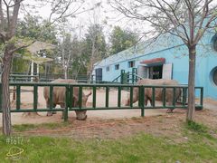 -秦皇岛野生动物园