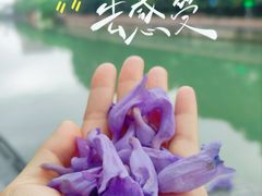 -成都市活水公园