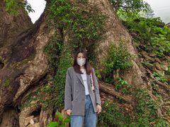 -杨家堂村