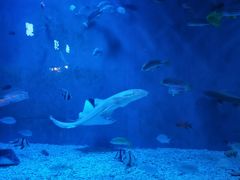 -威海华夏城景区