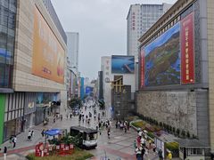 -蜀大侠火锅(寰球文化地标·总府店)