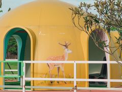 -苏州太湖西山岛开心农场