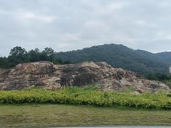 -广州白江湖森林公园