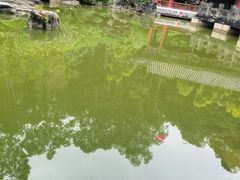 -深圳国际园林花卉博览园