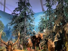 -贝林大翅鲸简餐厅(国家海洋博物馆店)