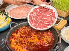 -巴蜀大将火锅(春熙店)