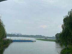 -大兴滨河森林公园