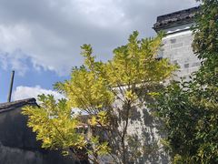 -东钱湖旅游度假区