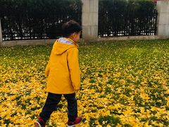 -中国人民抗日战争纪念馆