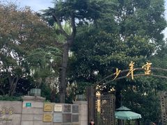 -中国福利会少年宫