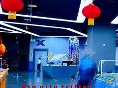 -中国宋庆龄青少年科技文化交流中心