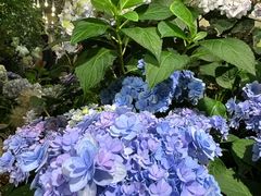 -花二家·生活馆(六运小区店)