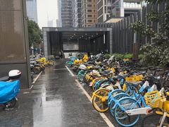 -红树湾(地铁站)