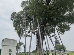 -观潮胜地公园
