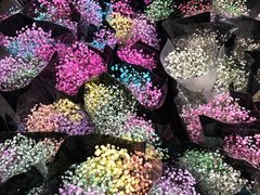 -秦美花卉(天朗·莱茵小城2期店)