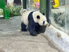 -栾川竹海野生动物园