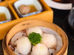 -南海渔村(珠江新城店)