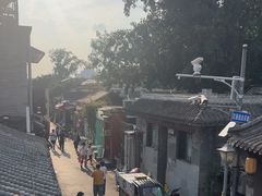 -Sirena海妖日咖夜酒