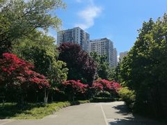 -楚秀园