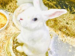 -上海大自然野生昆虫馆