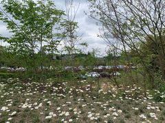 -黄龙溪欢乐田园