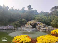 -香山公园