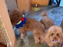 -半坡九号老挝冰咖啡