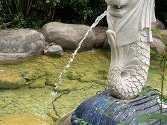 -南宫五洲植物乐园