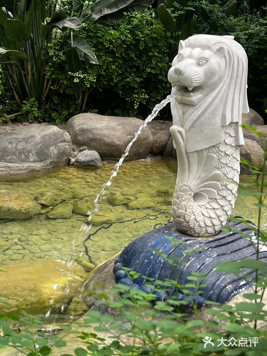 南宫五洲植物乐园图片