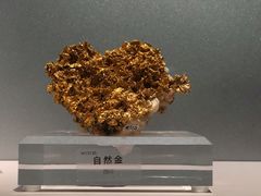 -中国地质博物馆