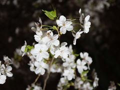 -龙美术馆(西岸馆)