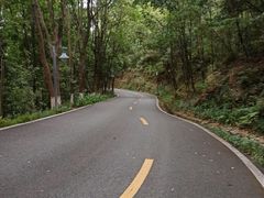 -神光山国家森林公园