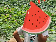 -丁香湖公园