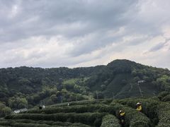 -十里琅珰
