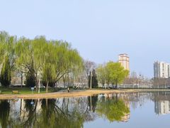 -泰丰公园