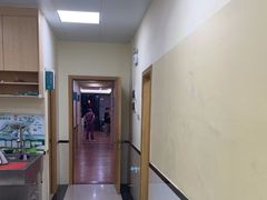 -千城康桥宠物医院·猫科·骨科·心脏