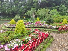 -庐山风景区花径公园