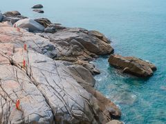 -广东惠东海龟国家级自然保护区