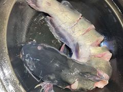 -满兴咱妈烀饼铁锅炖(兰州北街店)