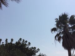 -胡里山炮台